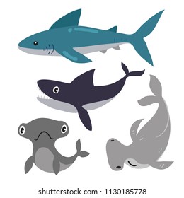 shark vector collection design
