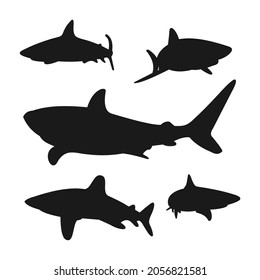 shark vector design silhouette, various shark silhouette