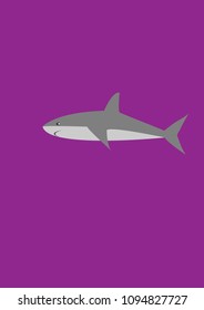 shark vector drawing. shark. the fish. line fish