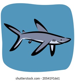 Shark vector drawing illustration isolated 