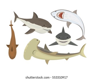 Shark vector fish set in flat style design. Different cartoon sharks icons isolated with sharp teeth mouth on white background.