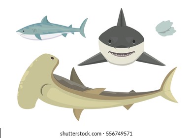 Shark vector fish set in flat style design. Different cartoon sharks icons isolated with sharp teeth mouth on white background.