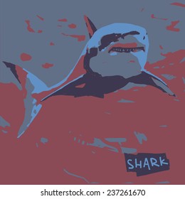 Shark vector graphic illustration with sign