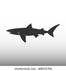 Shark vector icon