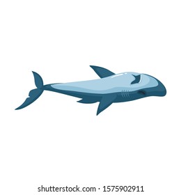 Shark vector icon.Cartoon vector icon isolated on white background shark.