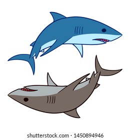 Shark vector illustration. 2 sharks swimming clip art isolated on white background.