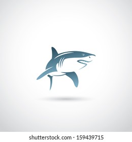 Shark - Vector Illustration