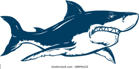 Shark vector illustration