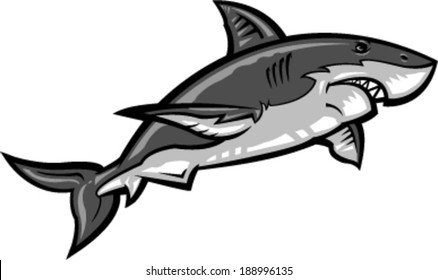 Shark vector illustration