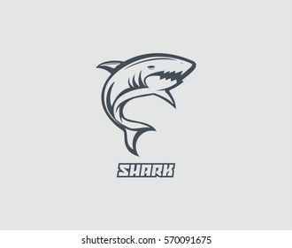 Shark Vector illustration