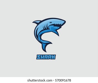 Shark Vector illustration