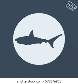 Shark - vector illustration
