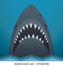 Shark Vector Illustration 