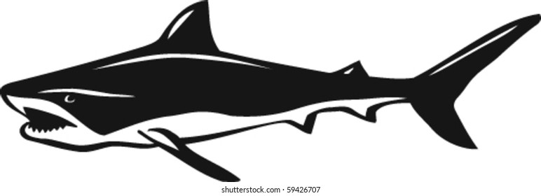 Shark Vector Illustration