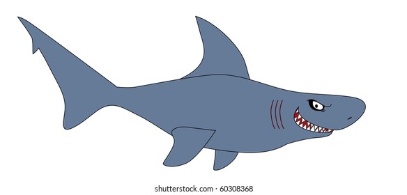 Shark Vector Illustration