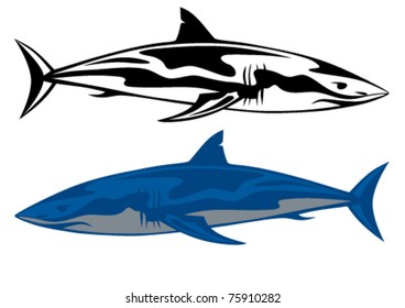 shark vector illustration