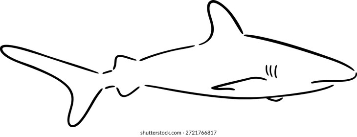 Contorno de tinta negra de Ilustración vectorial de tiburón. Dibujado a mano. Diseño de icono de logotipo de arte de línea de tiburón. Vector de ilustración de icono de logotipo animal minimalista moderno simple. Icono de tiburón, ilustración de boceto de Vector