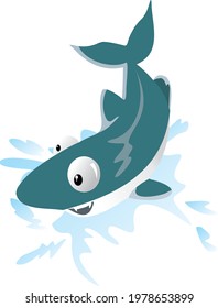 shark vector illustration color design for kids