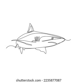 Shark vector illustration drawn in line art style