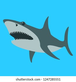 shark  vector illustration , flat style ,profile view