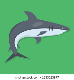 shark vector illustration in flat style 