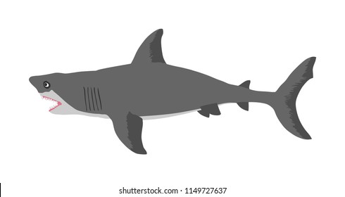 Shark vector illustration isolated on white background. Sea predator. Danger on beach alert. Open jaws of beast.  The biggest fear for divers and swimmers. Under water alert for diving and swimming.