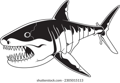 shark vector illustration isolated on white 