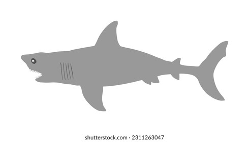 Shark vector illustration isolated on white background. Sea predator. Danger on beach alert. Open jaws of beast.  The biggest fear for divers and swimmers. Under water alert for diving and swimming.