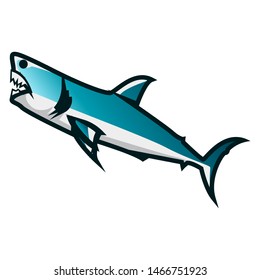 Shark vector illustration. Shark minimalist vector design with white background