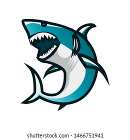 Shark vector illustration. Shark minimalist vector design with white background