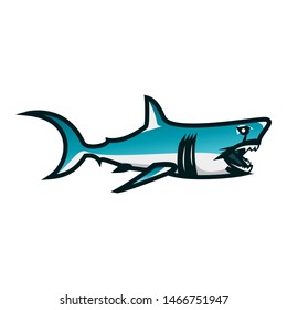 Shark vector illustration. Shark minimalist vector design with white background