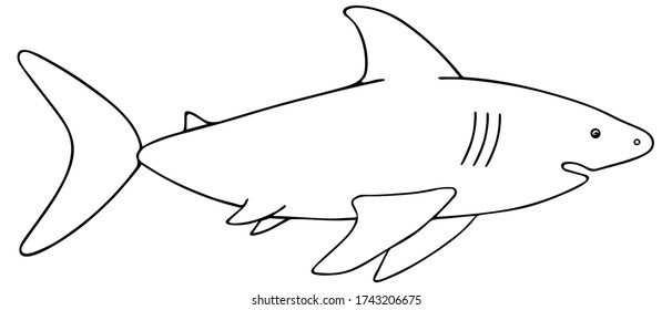 Shark. Vector illustration. Outline on a white isolated background. Large predatory sea fish. Hand drawing style. Sketch. Coloring book for children and adults. Underwater monster with toothy jaw. 