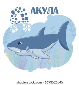 Shark. vector illustration shark. sea. ABC card.  alphabet for children