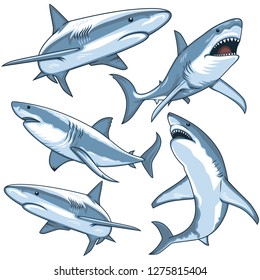 Shark vector illustration set