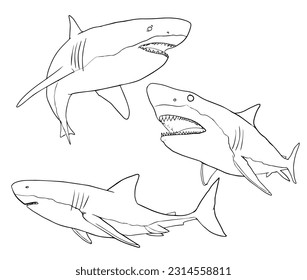 shark vector illustration set bundle with black and white coloring