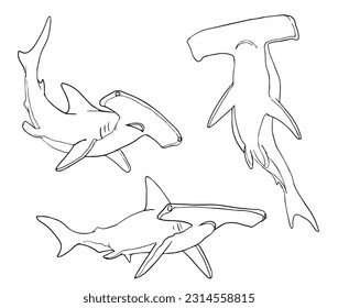 shark vector illustration set bundle with black and white coloring