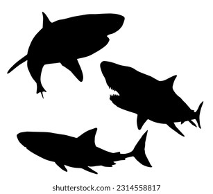 shark vector illustration set bundle with black and white coloring