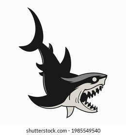 shark vector illustration template design