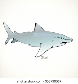 Shark, vector illustrations