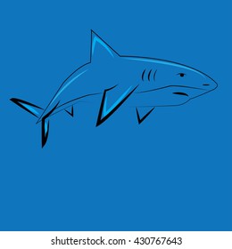 shark - vector illustrator