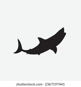 Shark vector image clip art