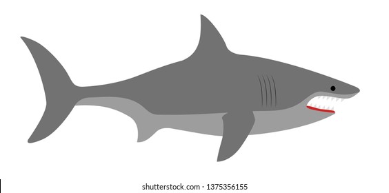 shark vector isolated