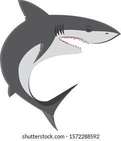  A shark vector isolated on white background.