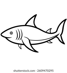 Shark vector line art on white baclground