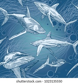 Shark Vector Pattern with hand drawn underwater Sea Fish, Contemporary Background and print design