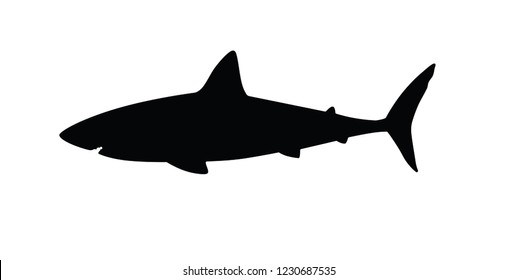 Shark Silhouette Shark Vector Stock Vector (royalty Free) 796380859 