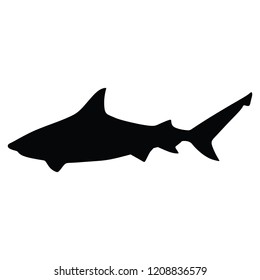 Shark vector silhouette illustration isolated on white background.