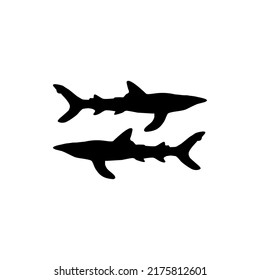 shark vector silhouette, isolated on white