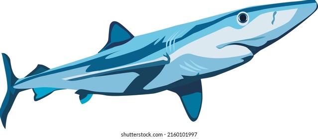 Shark vector swimming at high speed. Giant blue shark silhouette
