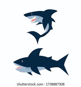 Shark. Vector. Two sharks are isolated on a white background.